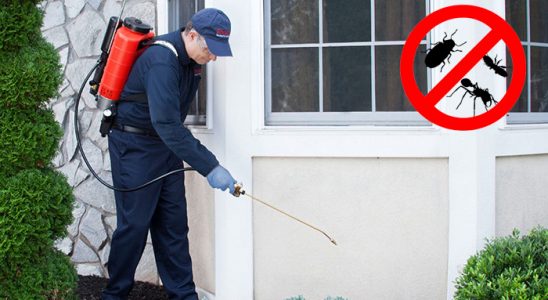 İhsaniye Dezenfeksiyon böcek ilaçlama ve haşere kontrolü — ilaclama-tr.com